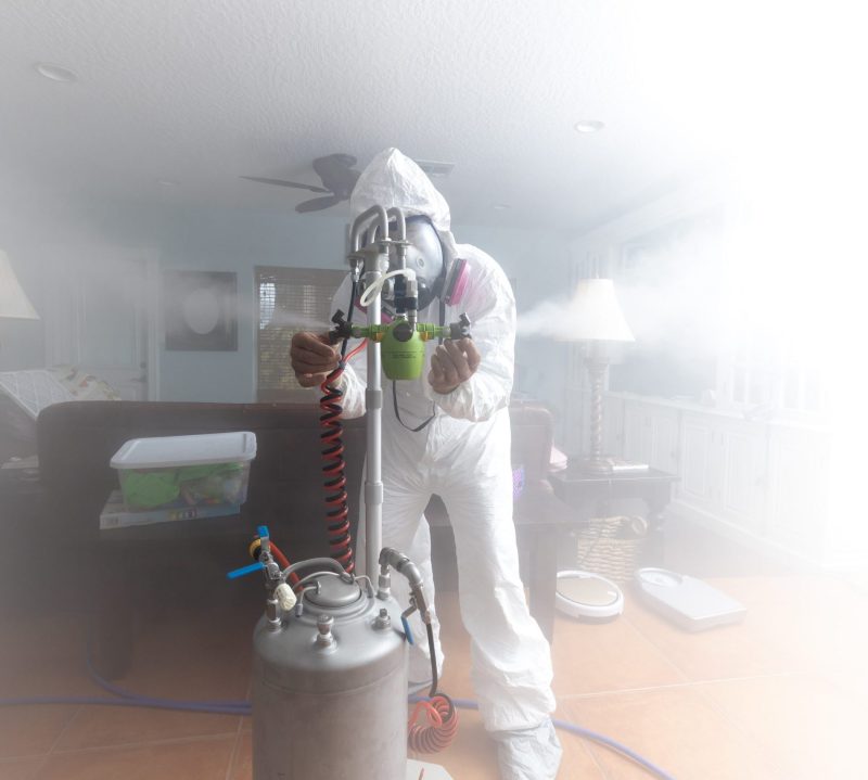 Mold Remediation near me